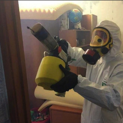 Уничтожение клопов в квартире. Московские ворота